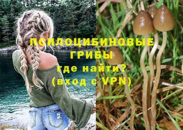 а пвп мука Няндома